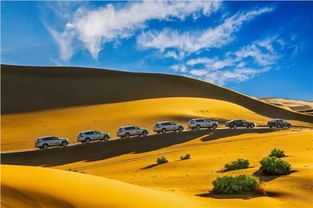 網(wǎng)通社汽車(chē) 赤峰眾匯上汽大眾