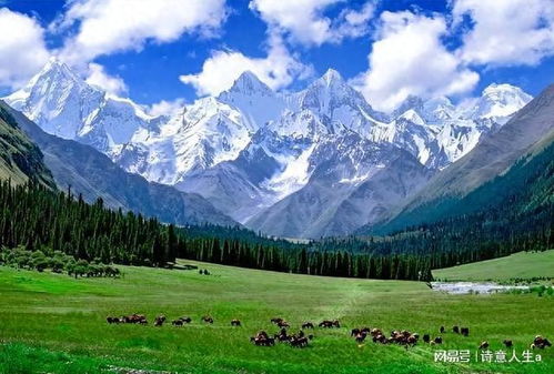 歐洲人毀滅歐洲,西班牙南部沙漠化 當(dāng)?shù)鼐W(wǎng)友 只有中國(guó)人在種樹