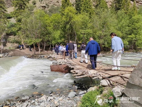 昭蘇縣濕地生態保護成效顯著，動植物種群數量穩步擴大