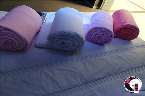 雙棲醉手工棉花被 來自新疆的成都高級環保棉被